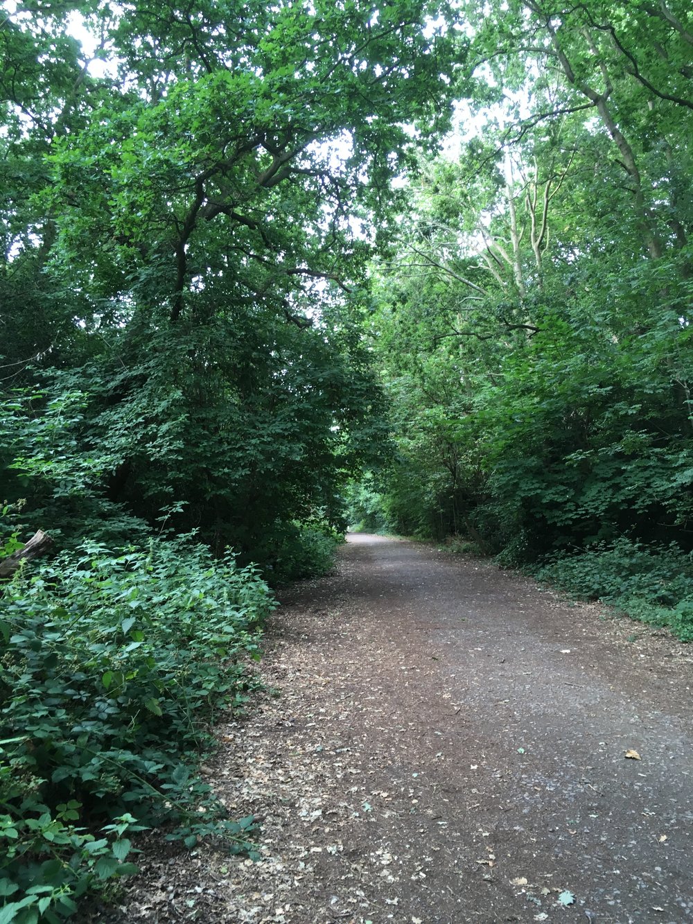 img_1824.jpg