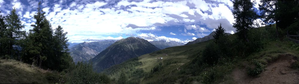IMG_1995