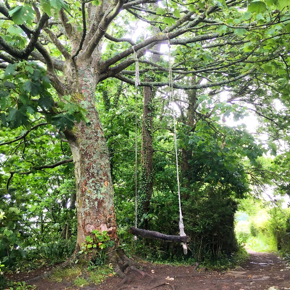 Isle of Wight tree swing