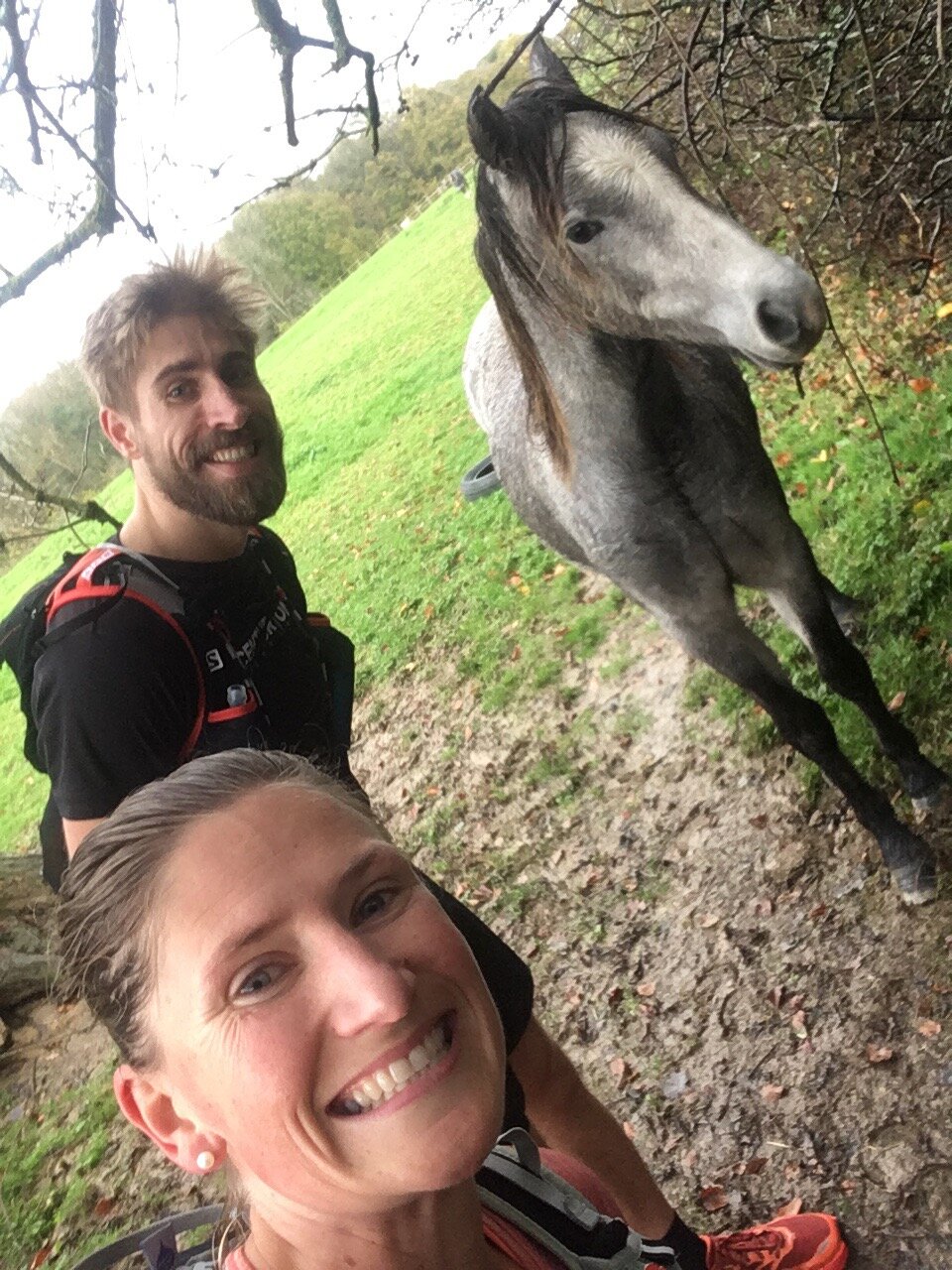 VANGUARD WAY horse selfie