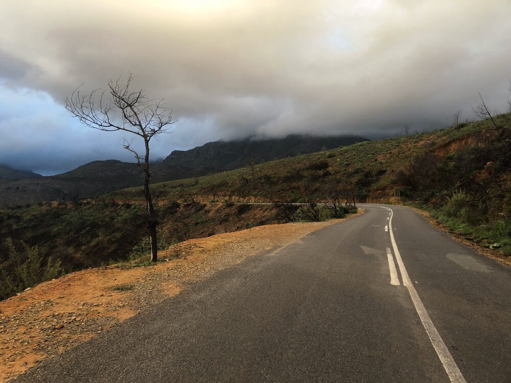 Long road to Comrades trail view