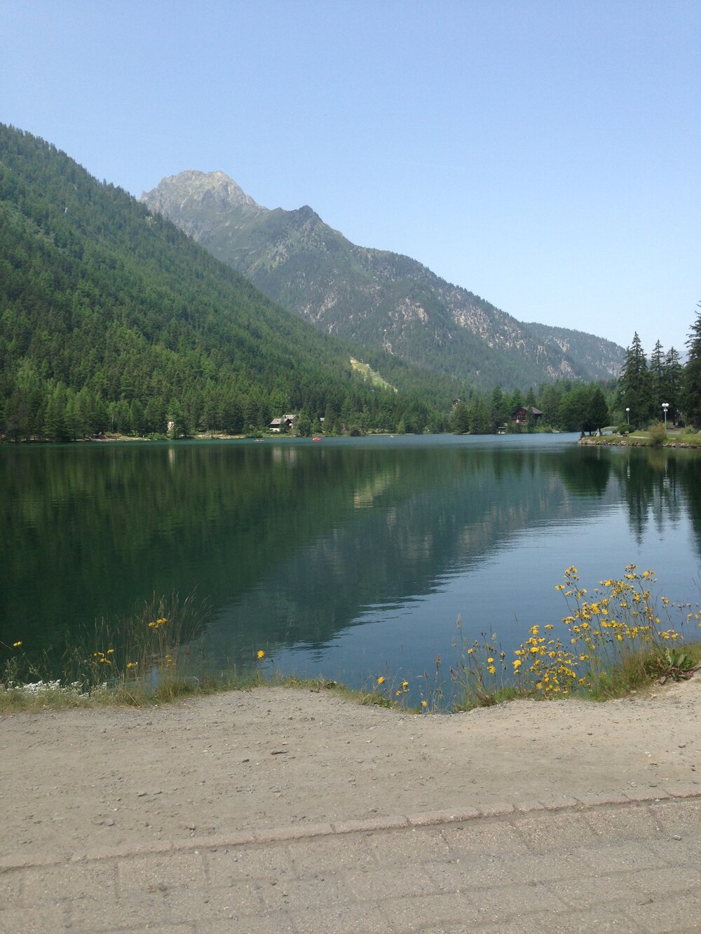 IMG_5967.JPG