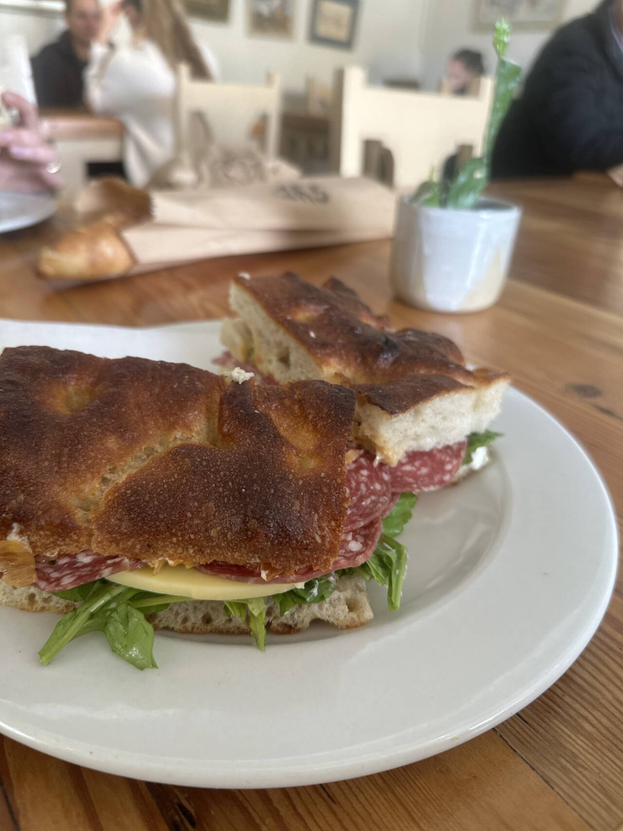 The south yeaster danio cheese and salami sandwich