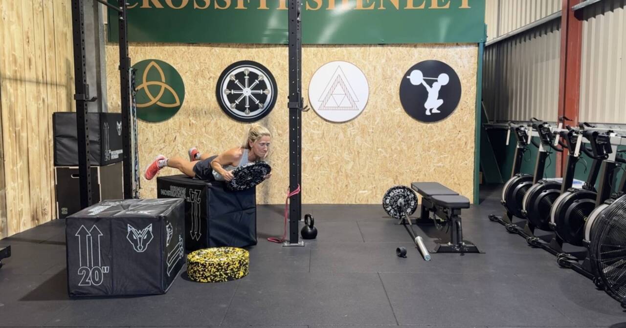 Heavy Weights Programme 22